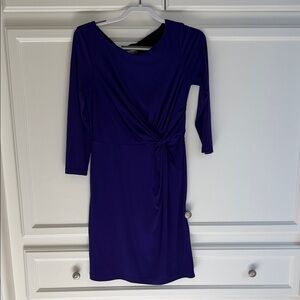 Elegant Purple Women's Dress